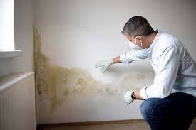 Best Airborne Mold Testing  in Mount Pleasant, IA